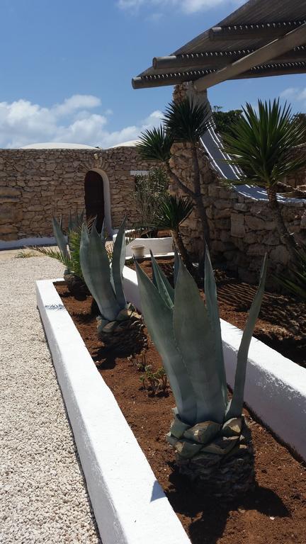I Dammusi Di Pippo Daire Lampedusa Dış mekan fotoğraf